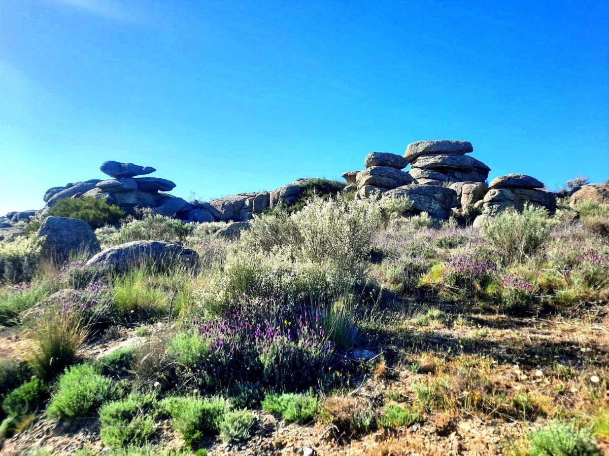 Ávila Navaquesera Mirador De Gredos المظهر الخارجي الصورة